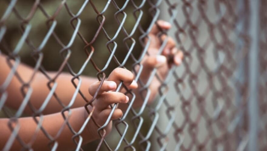 (Imagem: Freepik) (Imagem: Freepik)