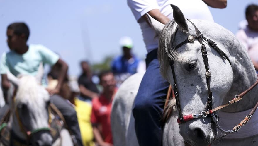 (Imagem: Marcelo Camargo/Agência Brasil)