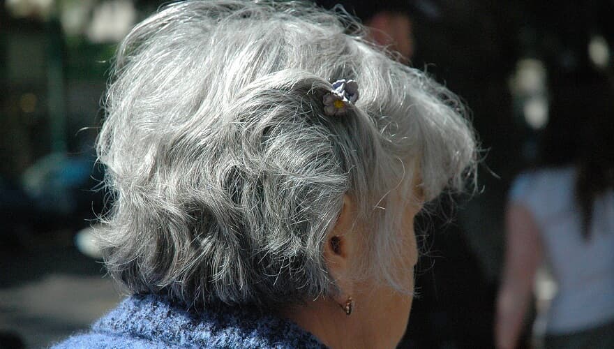 (Imagem: Pixabay) (Imagem: Pixabay)